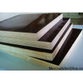 filmed plywood/bulk plywood/radiata pine plywood